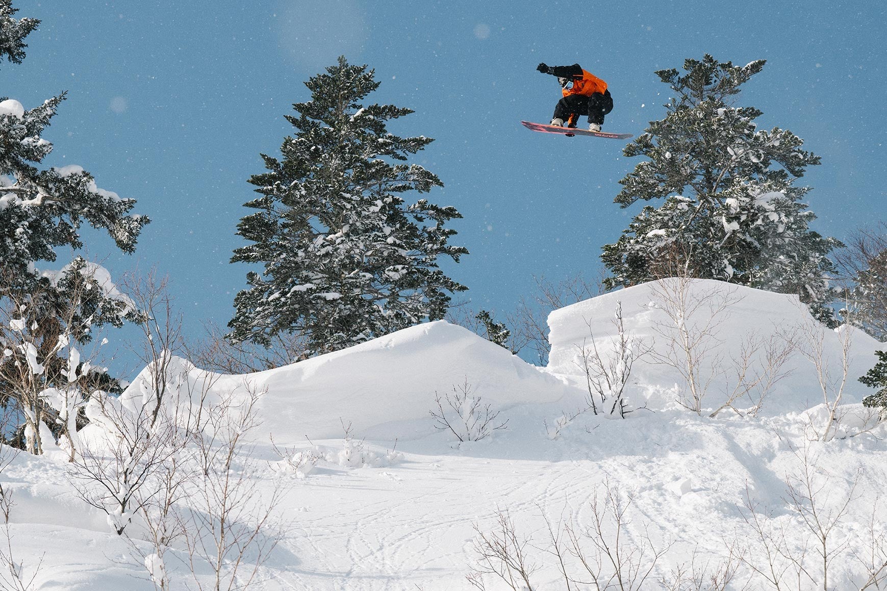 capita snowboard
